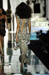 Spring 2006 Roberto Cavalli Runway Look 36 Silk Chiffon Floral Print Dress w Daring Plunges