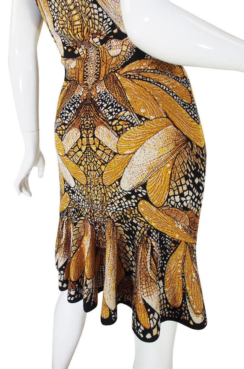 Recent Alexander McQueen Dragonfly Dress